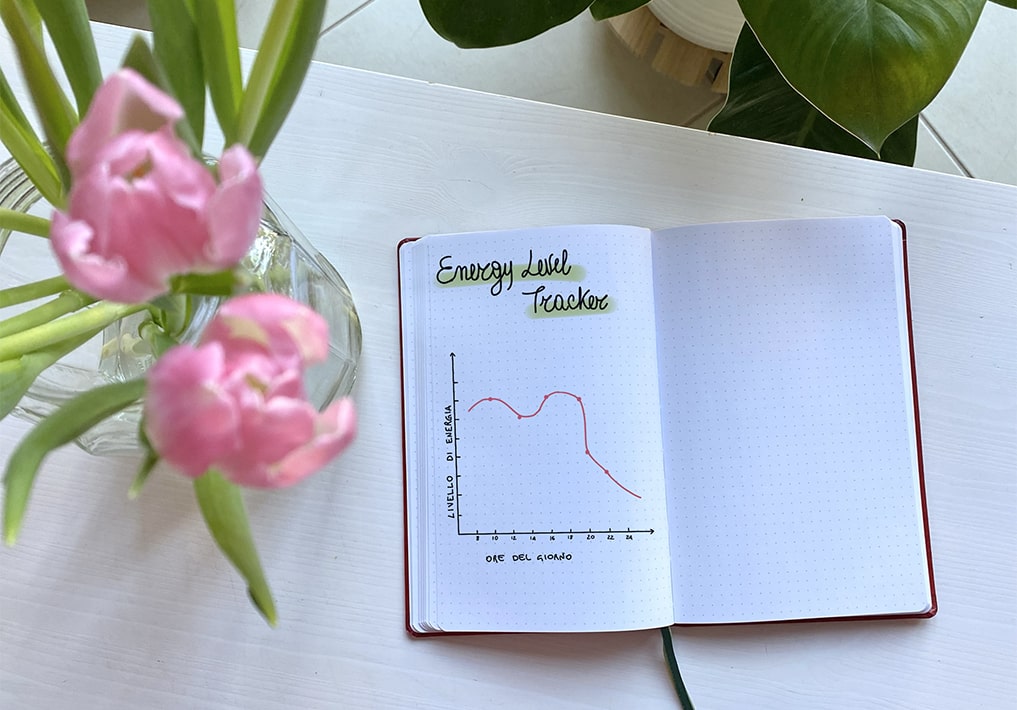 Bullet Journal Mood Tracker Habit Life Planner